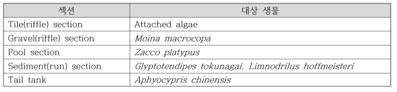 하천모의생태계 시스템 섹션별 대상 생물