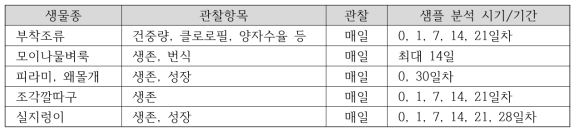 시험생물별 관찰 항목 및 샘플 분석 시기