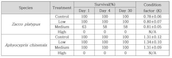 페놀 노출 후 30일차 피라미, 왜몰개의 생존율, condition factor