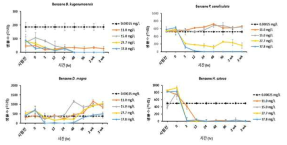 벤젠의 국내 서식 및 표준 독성 시험종이 이용된 독성시험 결과