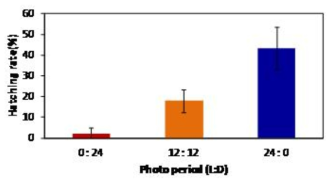 광주기에 따른 풍년새우의 부화율