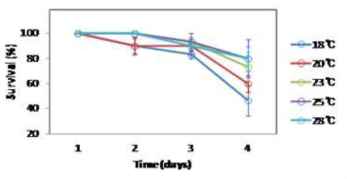 온도에 따른 풍년새우의 생존율