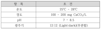 풍년새우의 사육 조건