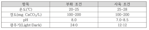 풍년새우 내구란의 부화 및 사육 조건