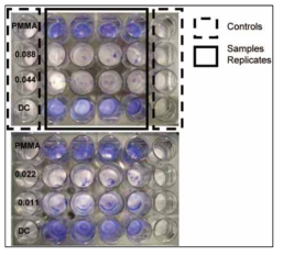 웰플레이트를 이용한 생물막 보존분석법(Stafslien et al., 2007)