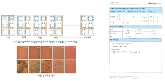 노출 간격에 따른 시험 패널 오염도 확인 및 환경 조건 측정(예시)