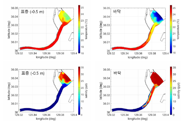 형산강 하류에서의 표층과 저층의 수온(위)/염분(아래) 분포