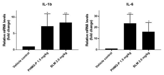 폐섬유화 유발물질 투여에 의한 IL-1b, IL-6 발현분석 결과(유전자)