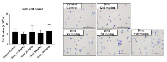 Dinotefuran 투여에 의한 BALF 내 염증세포 변화(1차 예비시험 결과)