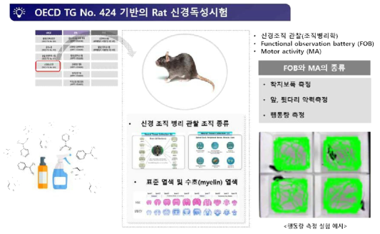 OECD TG No. 424 기반의 Rat 신경독성시험