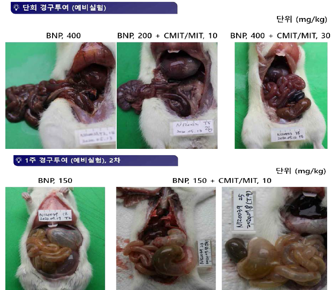 OECD TG No. 424 예비시험 결과