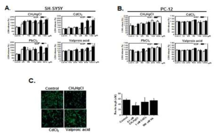 LDH release assay를 이용한 SH-SY5Y, PC-12 에서의 발생신경독성에 관여되는 물질 처리에 대한 세포독성(A, B)과 neurite outgrowth 측정(C)