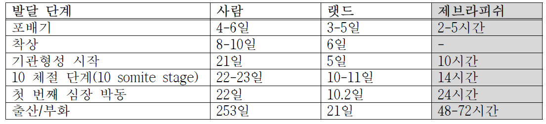 사람, 랫드, 제브라피쉬의 초기 발달 단계 비교(Garcia et al., 2016)