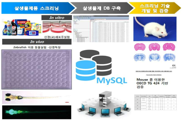 2차년도 연구개발 내용