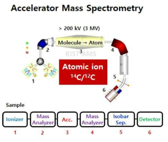 가속기 질량 분석기