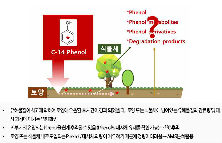 14C 표지된 페놀을 이용한 식물의 대사체 프로파일링 연구의 장점