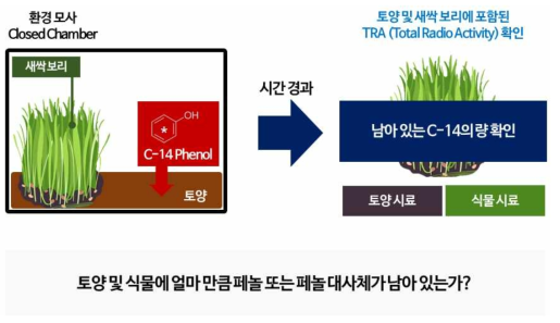 토양 및 식물체 내에 포함된 오염물질 잔류량 확인을 위한 실험 계획