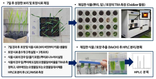 토양 시료 및 보리시료 전처리 과정 수행 후 TRA 및 프로파일링 수행