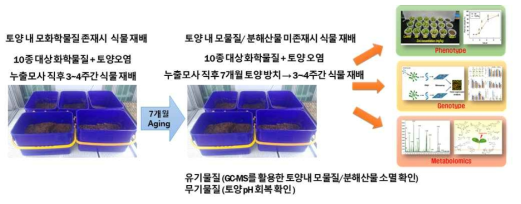 토양 노출 및 식물 실험 모식도