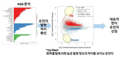 NGS 분석 개념도