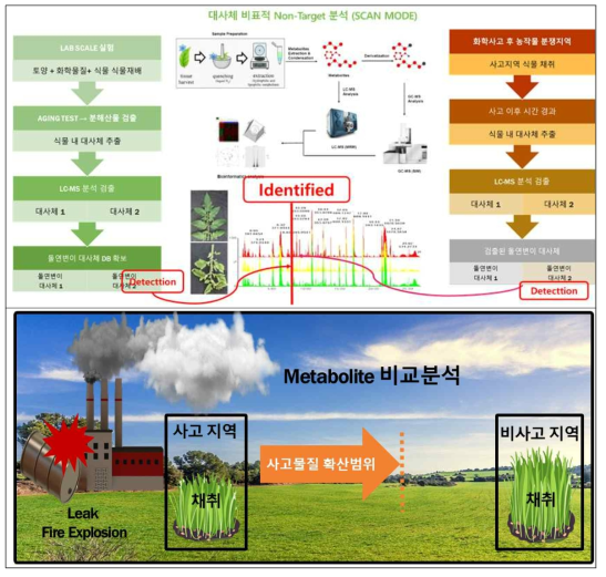메타볼로믹스를 활용한 식물 영향평가 개념도