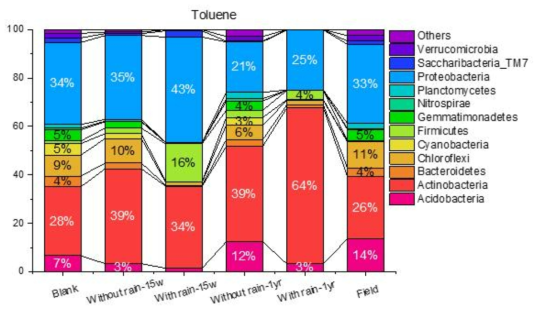 톨루엔 노출 토양의 미생물 군집 변화
