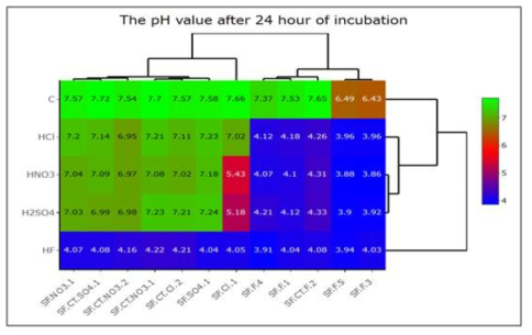 24시간의 실험 후 박테리아 균주와 산의 유형에 따른 pH의 변동