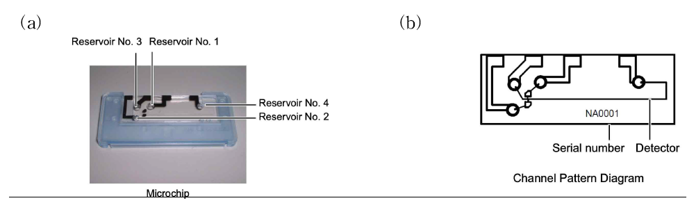 전기영동을 위한 (a) Microchip과 (b) Microchip 도면