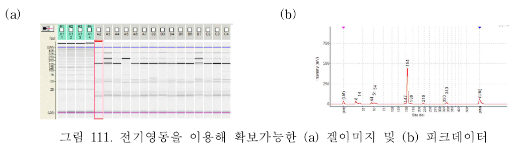 전기영동을 이용해 확보가능한 (a) 겔이미지 및 (b) 피크데이터