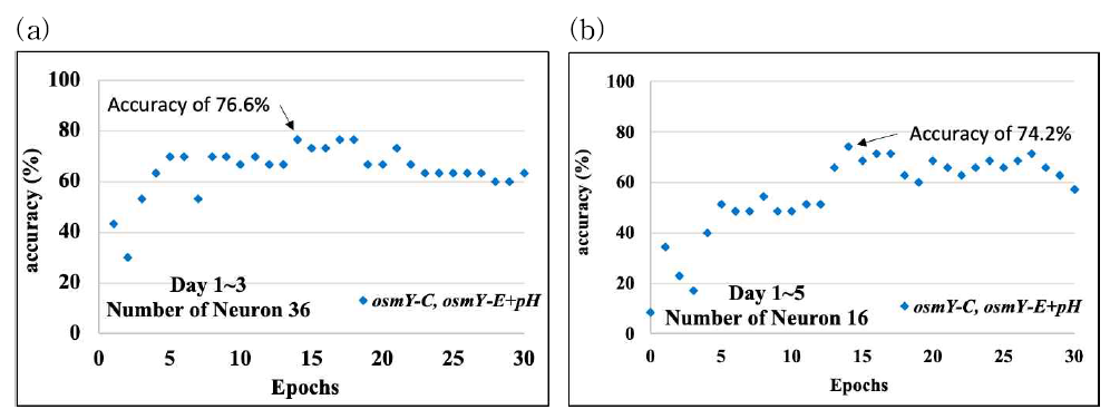 osmY-C, osmY-E 조건의 예측 데이터에 대한 Epochs 최적화 머신러닝 결과 (a) 1~3일 데이터 세트 이용 (b) 1~5일 데이터 세트 이용