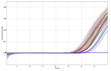 Amplification Plots