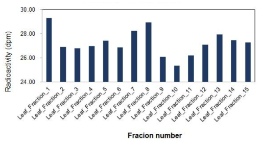 식물체 잎에서의 분획에 포함된 LSC 방사능 측정 결과