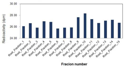 식물체 뿌리에서의 HPLC 분획에 포함된 LSC 방사능 측정 결과