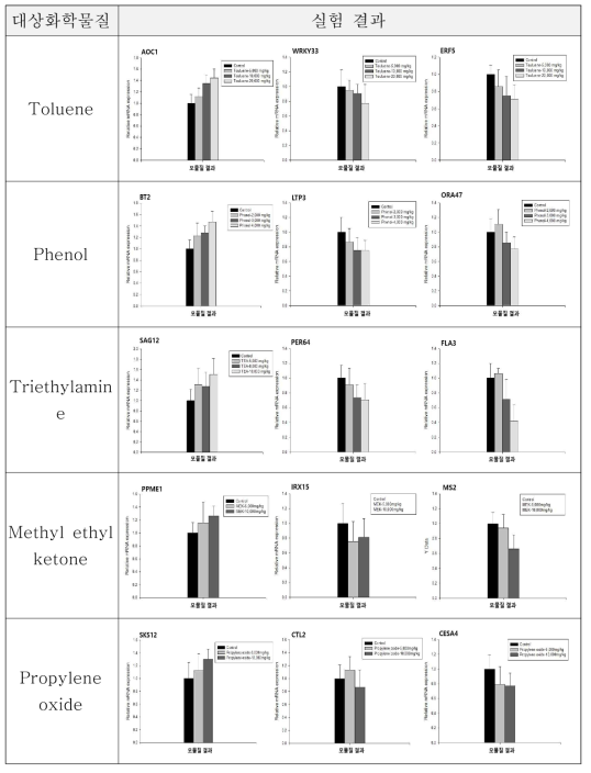 누출모사 직후(모물질) 식물(애기장대) Genotype 영향 결과(유기물질)