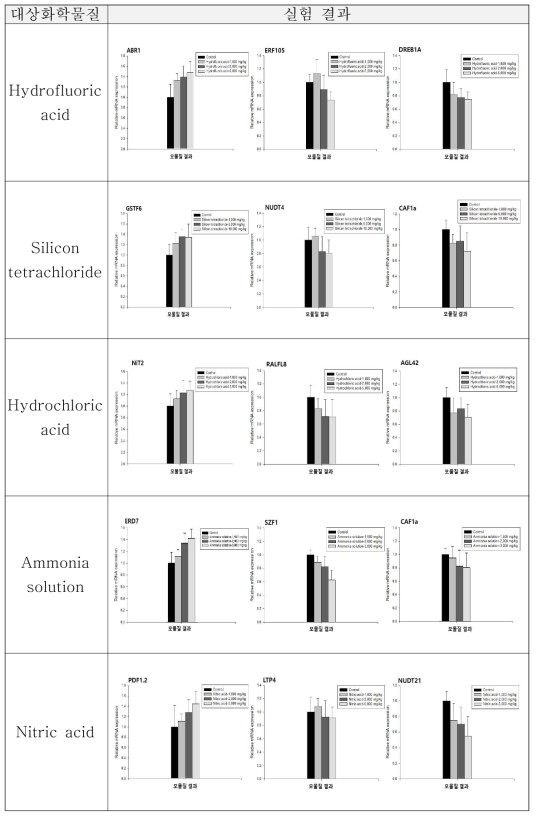 누출모사 직후(모물질) 식물(애기장대) Genotype 영향 결과(무기물질)