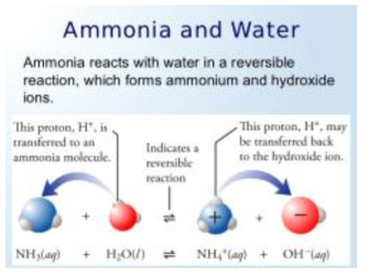 물과 암모니아의 반응 기작