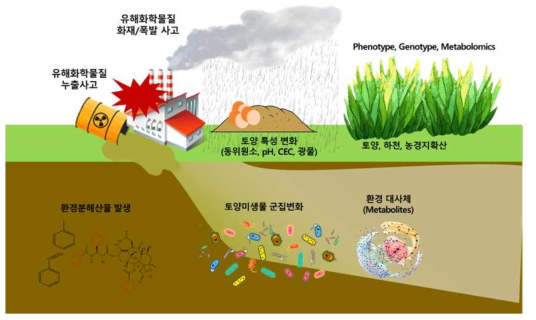 화학사고 후 생태영향평가 모식도