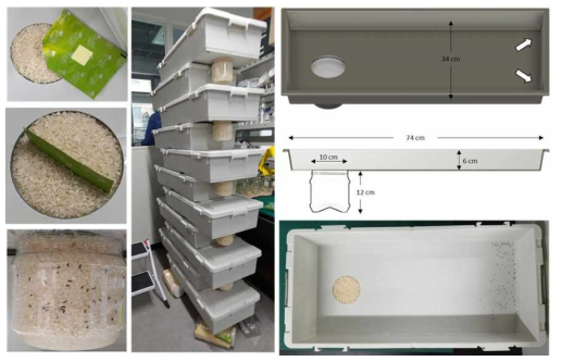 쌀벌레 방제제의 쌀에 대한 유인 억제효과 평가법 시험 사진 및 평가용기 도면