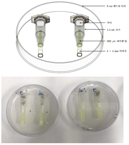 날벌레 선택 기피시험법 도면 및 실험예시