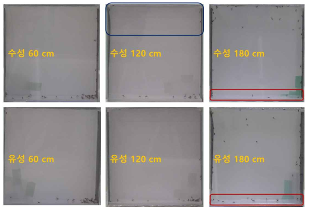 용매 시스템에 따른 살충효과 즉효성 비교 결과(분사거리 60 및 120 cm에서는 분사 5초 후, 180 cm에서는 3분 후의 흰줄숲모기에 대한 반응정도)