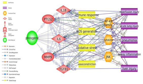 포스겐의 단기⦁흡입 노출 연관 인체영향 중심 네트워크 분석 결과