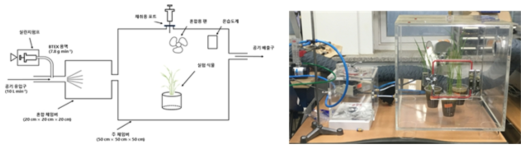 식물 흡수량 측정 실험 체임버 모식도 및 실제 작동 사진