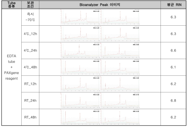 EDTA tube + PAXgene reagent 12개월 장기보관 후 RNA 추출 정성 결과