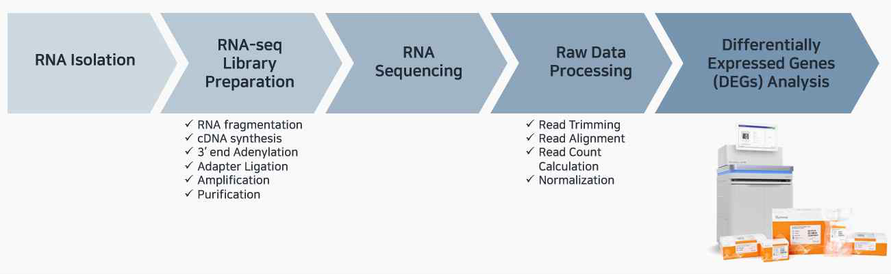 NGS을 활용한 mRNA 시퀀싱 및 전처리 과정