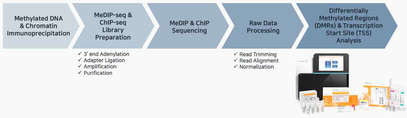 NGS을 활용한 MeDIP & ChIP 시퀀싱 및 전처리 과정