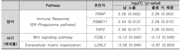 환경성질환(건강영향)과 연관 있는 pathway와 관련된 유전자의 발현 패턴