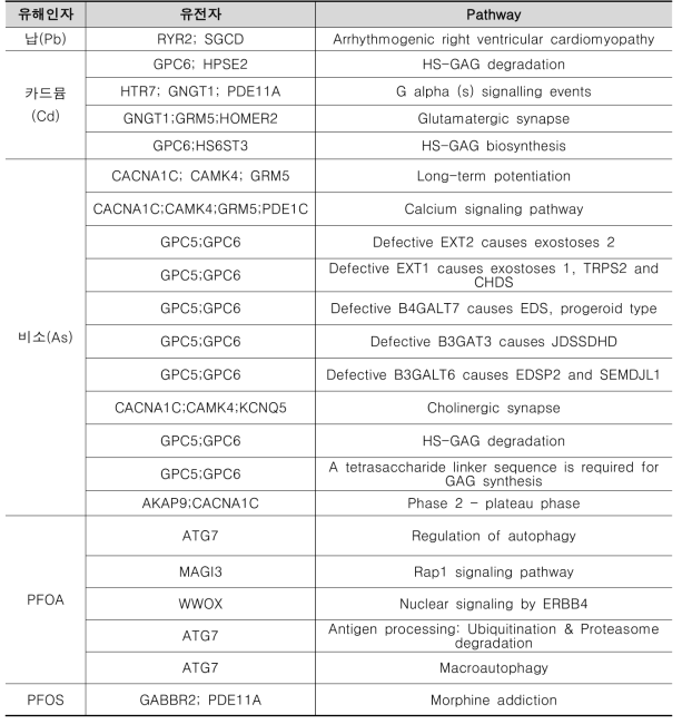 엄마그룹에서 저체중과 관련된 차등 메틸화 지역에 분포한 중첩유전자의 pathway 분석결과