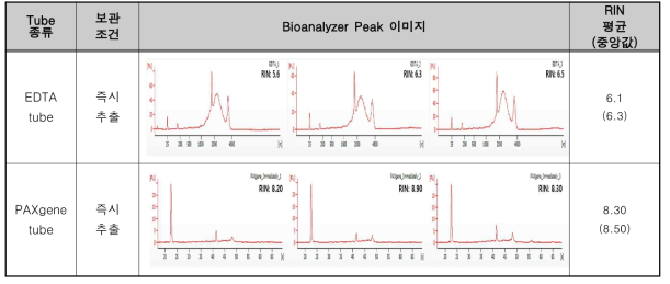 즉시 RNA 추출 정성 결과