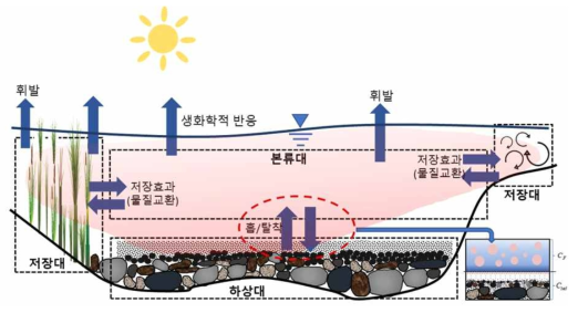 하천에서 유해화학물질의 혼합 거동 기작