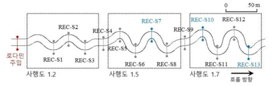 안동 REC 추적자 실험의 측정 단면 구성